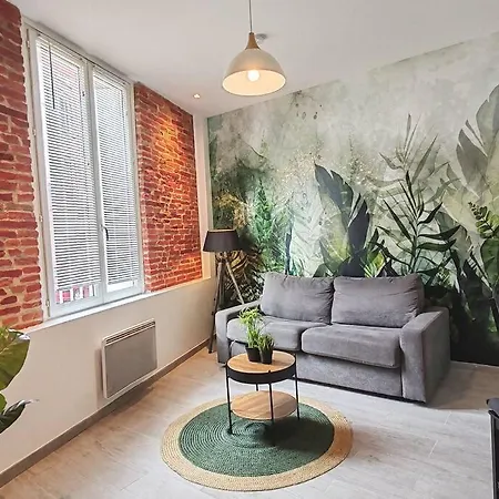 O Toulouse-t2-toulouse Hypercentre Gare-netflix-wifi * Toulouse